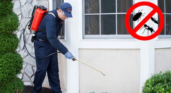 Dazkırı Dezenfeksiyon böcek ilaçlama ve haşere kontrolü — ilaclama-tr.com